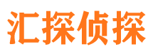 天山市私家侦探